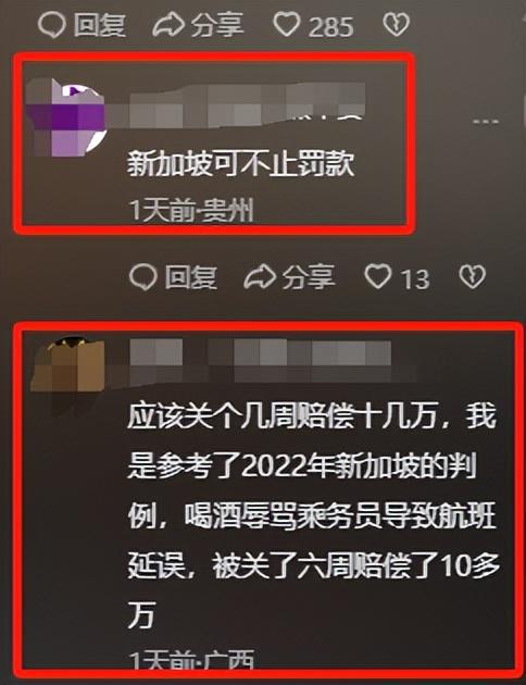 ：回应更多细节曝光网友说是“惯犯”尊龙凯时app女子逼停飞机新后续(图9)