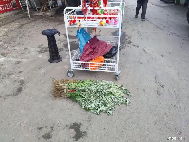 假期最不能做的5件事别忘了告诉家人尊龙凯时APP不是迷信！端午三天(图2)